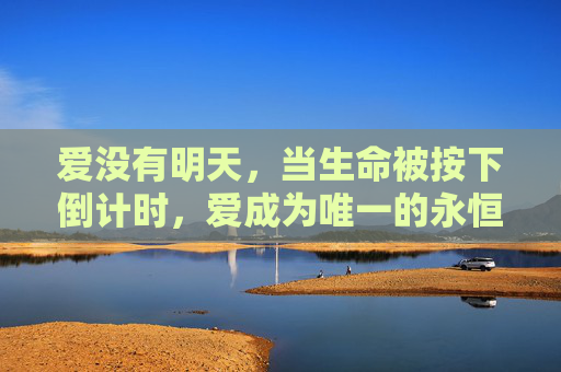 爱没有明天,当生命被按下倒计时,爱成为唯一的永恒,生命倒计时,爱是永恒 爱没有明天,当生命被按下倒计时,爱成为唯一的永恒,生命倒计时,爱是永恒