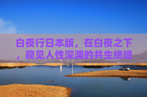 白夜行日本版，在白夜之下，窥见人性深渊的共生绝唱，白夜行，窥见人性深渊的共生绝唱