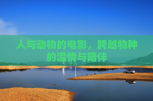人与动物的电影，跨越物种的温情与陪伴