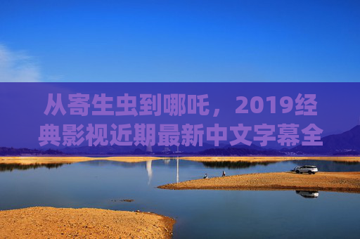 从寄生虫到哪吒，2019经典影视近期最新中文字幕全解析，从寄生虫到哪吒，2019经典影视最新中文字幕全解析