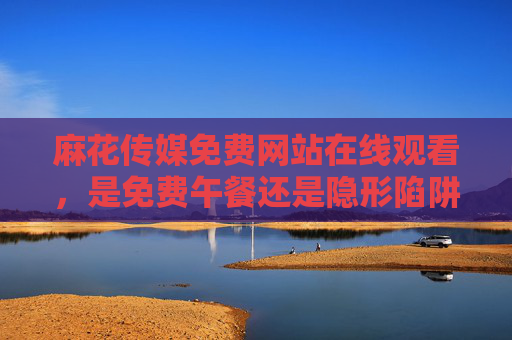 麻花传媒免费网站在线观看，是免费午餐还是隐形陷阱？