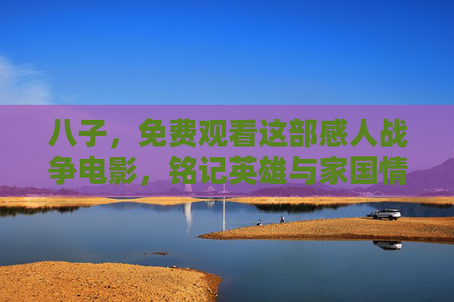 八子，免费观看这部感人战争电影，铭记英雄与家国情怀，八子，铭记英雄与家国情怀