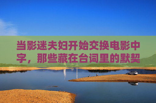 当影迷夫妇开始交换电影中字，那些藏在台词里的默契与惊喜，影迷夫妇，交换电影中字，默契与惊喜藏台词