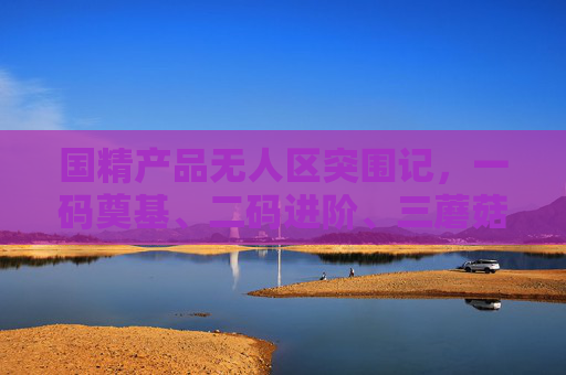 国精产品无人区突围记，一码奠基、二码进阶、三蘑菇成林，国精产品无人区突围，三阶进阶，码到林成