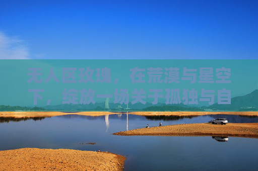无人区玫瑰，在荒漠与星空下，绽放一场关于孤独与自由的诗篇，无人区玫瑰，荒漠星空里的孤独与自由