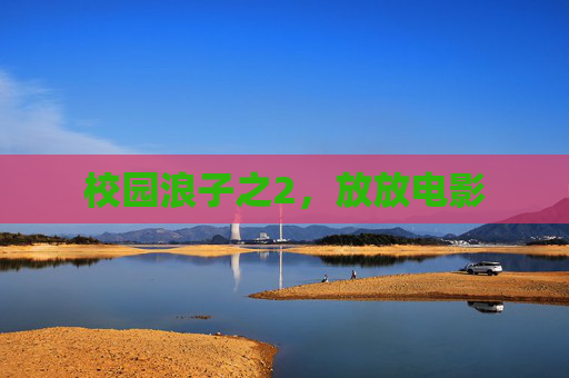 校园浪子之2，放放电影