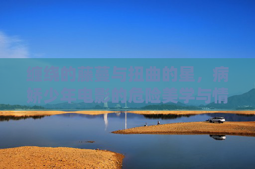 缠绕的藤蔓与扭曲的星，病娇少年电影的危险美学与情感迷宫