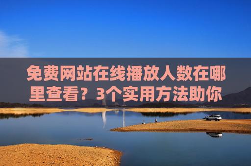 免费网站在线播放人数在哪里查看？3个实用方法助你实时掌握，免费网站在线播放人数查看，3个实用方法助你实时掌握