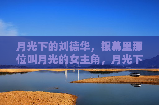 月光下的刘德华，银幕里那位叫月光的女主角，月光下的刘德华，银幕里的月光