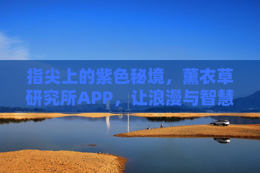 指尖上的紫色秘境，薰衣草研究所APP，让浪漫与智慧共生，薰衣草研究所APP，指尖上的紫色秘境，浪漫与智慧共生