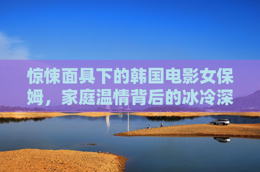 惊悚面具下的韩国电影女保姆，家庭温情背后的冰冷深渊，温情面具下的冰冷深渊，韩国惊悚女保姆