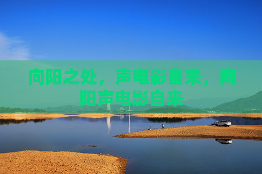 向阳之处，声电影自来，向阳声电影自来
