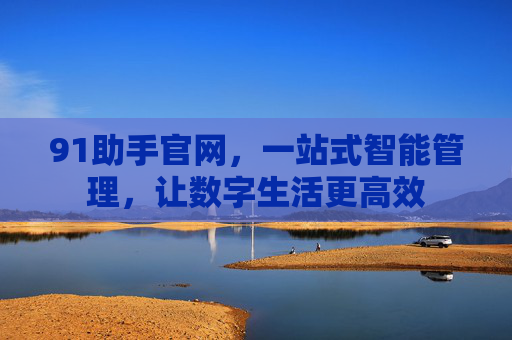 91助手官网，一站式智能管理，让数字生活更高效