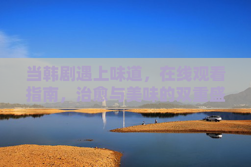 当韩剧遇上味道，在线观看指南，治愈与美味的双重盛宴，韩剧遇上味道，治愈与美味的双重盛宴指南