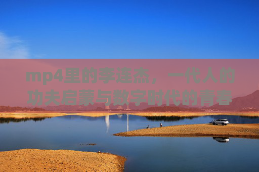 mp4里的李连杰，一代人的功夫启蒙与数字时代的青春碎片，mp4里的李连杰，一代人的功夫启蒙与数字青春碎片