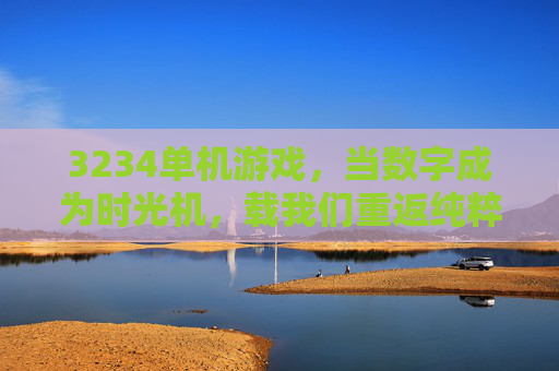 3234单机游戏，当数字成为时光机，载我们重返纯粹的游戏时光，3234单机游戏，数字时光机，重返纯粹游戏时光