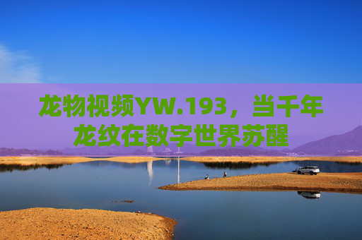 龙物视频YW.193，当千年龙纹在数字世界苏醒