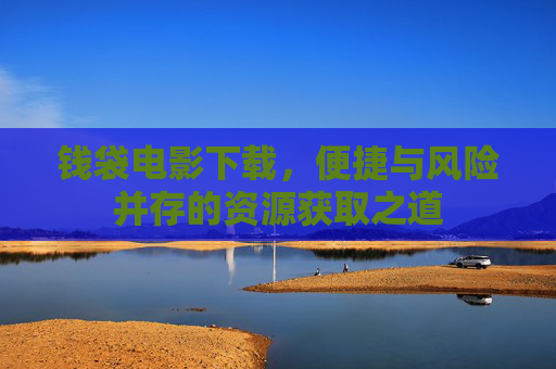 钱袋电影下载，便捷与风险并存的资源获取之道