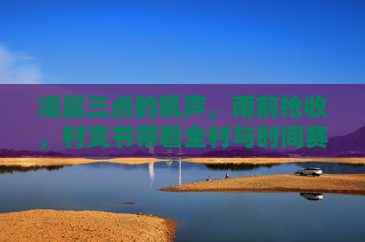 凌晨三点的吼声，雨前抢收，村支书带着全村与时间赛跑，凌晨三点的吼声，村支书带领全村雨前抢收与时间赛跑