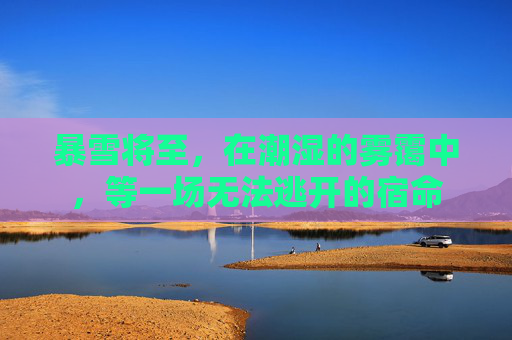 暴雪将至，在潮湿的雾霭中，等一场无法逃开的宿命