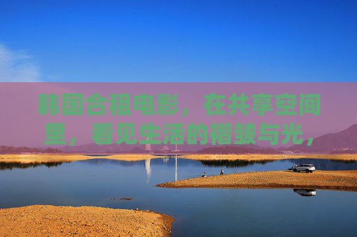 韩国合租电影，在共享空间里，看见生活的褶皱与光，合租空间，生活的褶皱与光