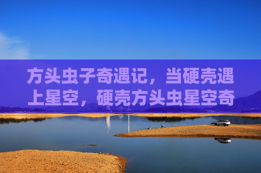 方头虫子奇遇记，当硬壳遇上星空，硬壳方头虫星空奇遇记