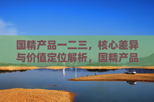 国精产品一二三，核心差异与价值定位解析，国精产品核心差异与价值定位解析