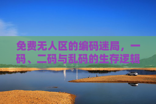 免费无人区的编码迷局，一码、二码与乱码的生存逻辑，免费无人区编码迷局，一码、二码与乱码的生存逻辑