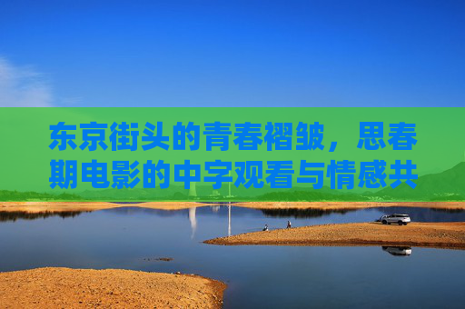东京街头的青春褶皱，思春期电影的中字观看与情感共鸣，东京街头的青春褶皱，思春期电影的中字共鸣