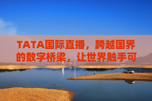 TATA国际直播，跨越国界的数字桥梁，让世界触手可及，TATA国际直播，跨越国界的数字桥梁