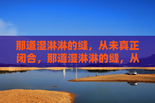那道湿淋淋的缝，从未真正闭合，那道湿淋淋的缝，从未真正闭合