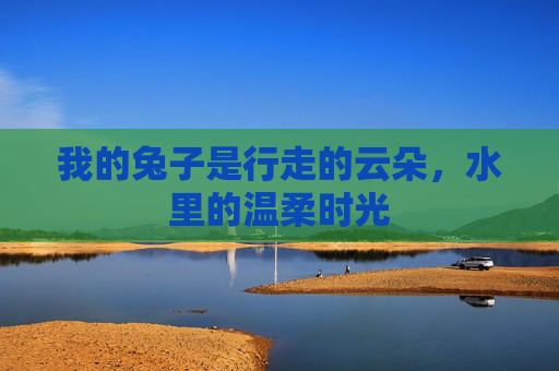 我的兔子是行走的云朵,水里的温柔时光 我的兔子是行走的云朵,水里的温柔时光