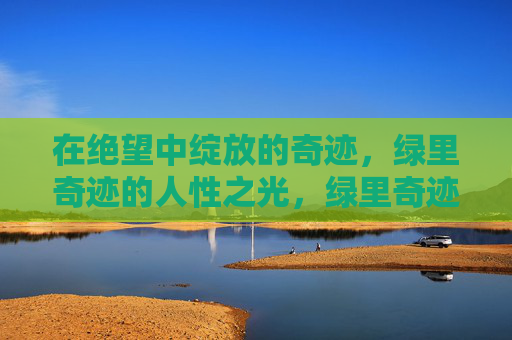 在绝望中绽放的奇迹,绿里奇迹的人性之光,绿里奇迹,绝望中绽放的人性之光 在绝望中绽放的奇迹,绿里奇迹的人性之光,绿里奇迹,绝望中绽放的人性之光