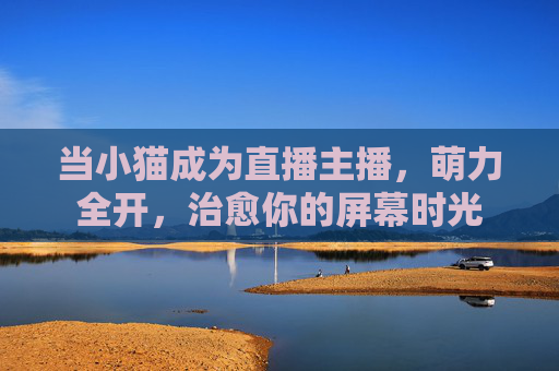 当小猫成为直播主播，萌力全开，治愈你的屏幕时光