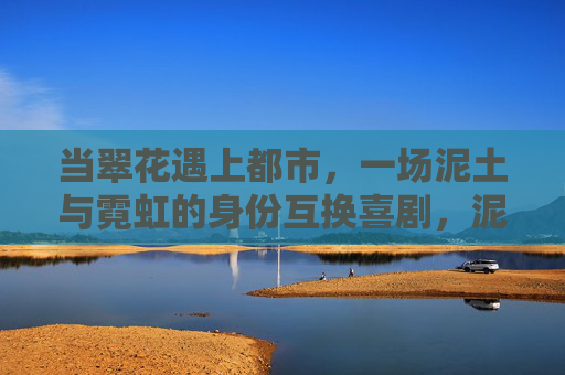 当翠花遇上都市,一场泥土与霓虹的身份互换喜剧,泥土霓虹身份互换,翠花都市喜剧 当翠花遇上都市,一场泥土与霓虹的身份互换喜剧,泥土霓虹身份互换,翠花都市喜剧