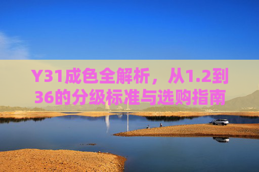 Y31成色全解析,从1.2到36的分级标准与选购指南 Y31成色全解析,从1.2到36的分级标准与选购指南