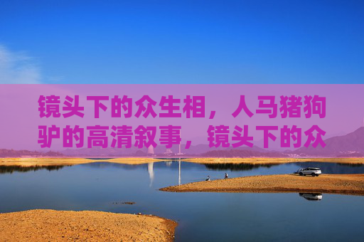 镜头下的众生相,人马猪狗驴的高清叙事,镜头下的众生相,人马猪狗驴高清叙事 镜头下的众生相,人马猪狗驴的高清叙事,镜头下的众生相,人马猪狗驴高清叙事