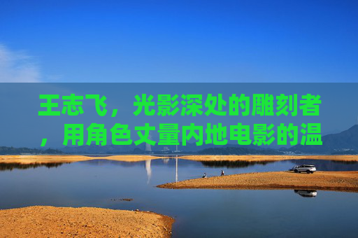 王志飞，光影深处的雕刻者，用角色丈量内地电影的温度，光影雕刻者王志飞，角色丈量内地电影温度
