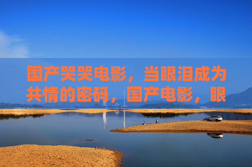 国产哭哭电影,当眼泪成为共情的密码,国产电影,眼泪,共情的密码 国产哭哭电影,当眼泪成为共情的密码,国产电影,眼泪,共情的密码