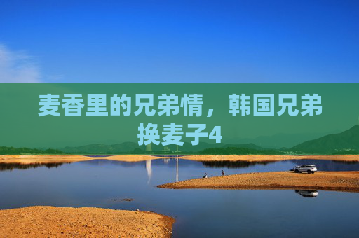 麦香里的兄弟情，韩国兄弟换麦子4