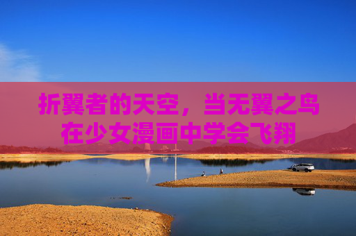 折翼者的天空，当无翼之鸟在少女漫画中学会飞翔