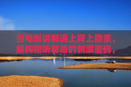 当电影讲解遇上肾上腺素，解构视听背后的刺激密码，电影讲解解构，视听刺激的肾上腺素密码