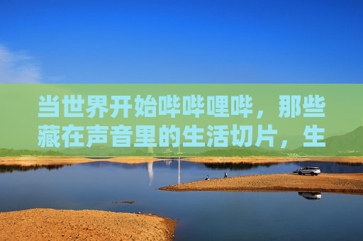 当世界开始哔哔哩哔，那些藏在声音里的生活切片，生活切片藏在哔哔声里
