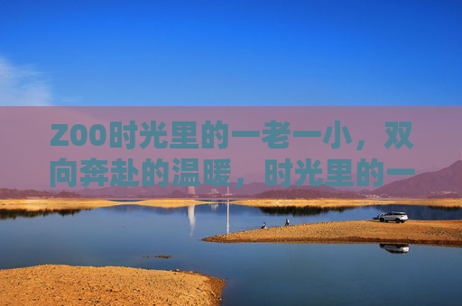 Z00时光里的一老一小，双向奔赴的温暖，时光里的一老一小，双向奔赴的温暖