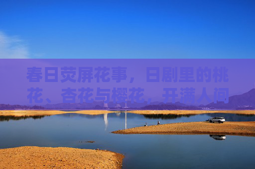 春日荧屏花事，日剧里的桃花、杏花与樱花，开满人间烟火
