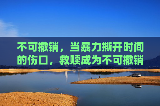 不可撤销，当暴力撕开时间的伤口，救赎成为不可撤销的奢望，不可撤销，暴力撕开时间的伤口，救赎成奢望