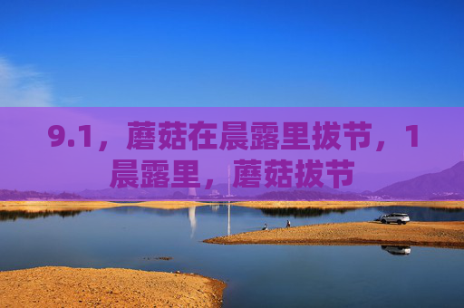 9.1，蘑菇在晨露里拔节，1晨露里，蘑菇拔节
