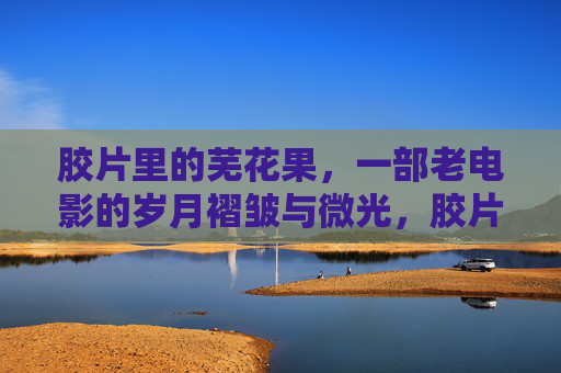 胶片里的芜花果，一部老电影的岁月褶皱与微光，胶片微光，老电影的岁月褶皱与芜花果