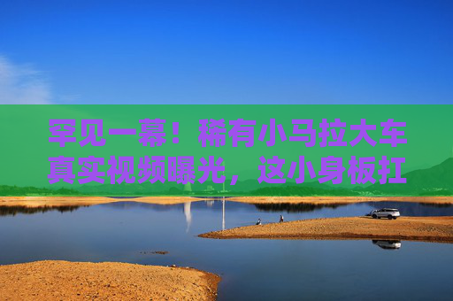 罕见一幕！稀有小马拉大车真实视频曝光，这小身板扛起的重量，让人泪目，罕见！小马拉大车，小身板扛起重量让人泪目