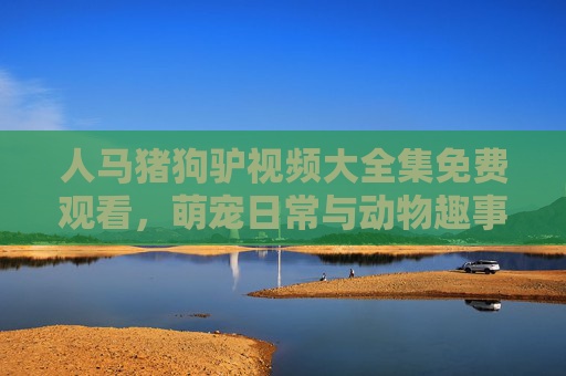 人马猪狗驴视频大全集免费观看，萌宠日常与动物趣事全收录，人马猪狗驴萌宠趣事大全集免费观看